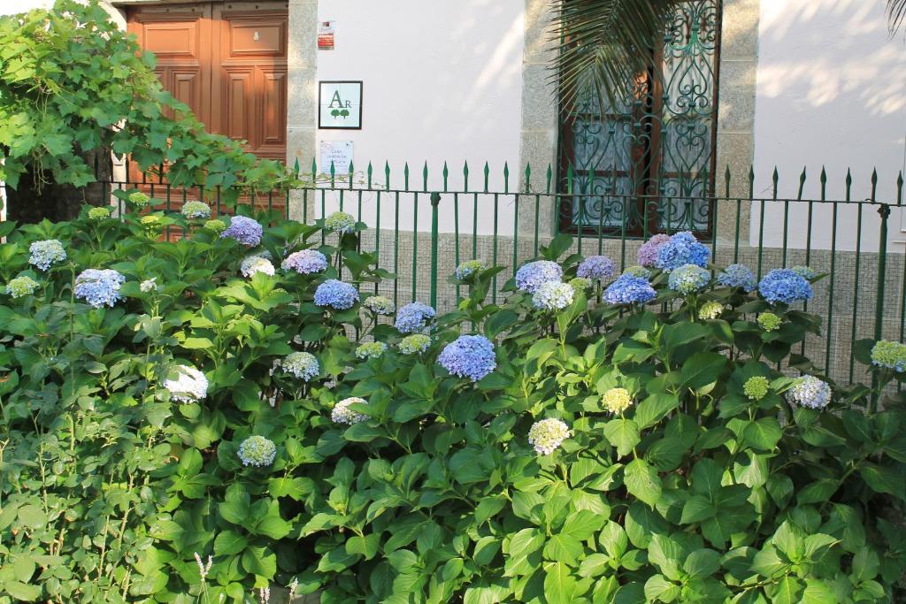 Casa Jardin De La Plata Apartman Banos De Montemayor Kültér fotó